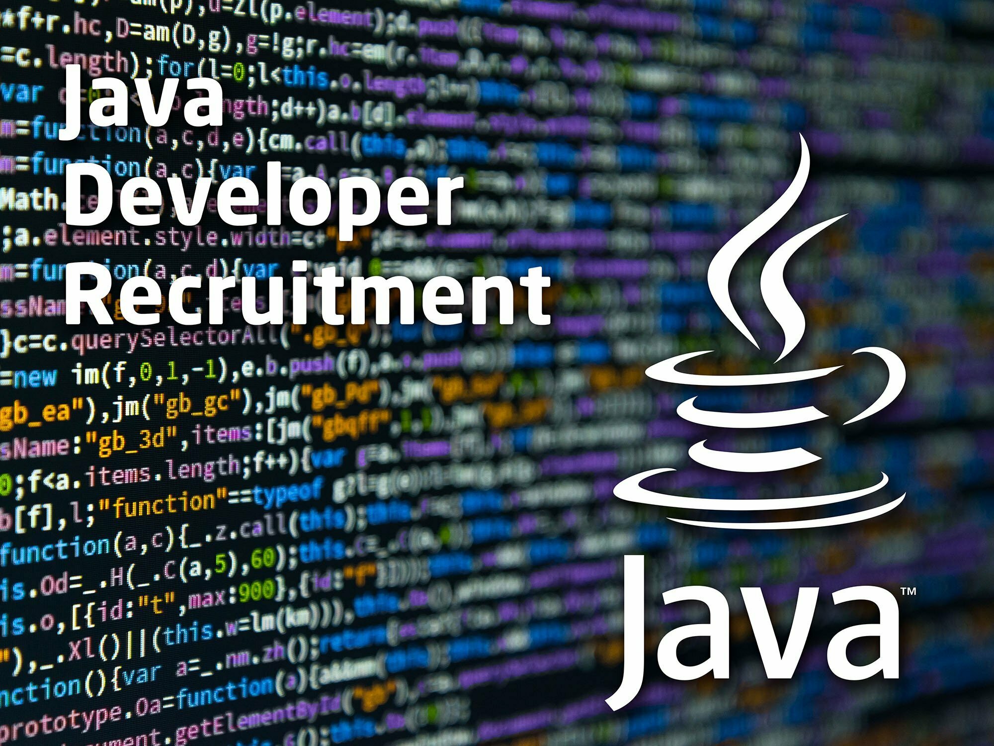 Web java developer recruitment